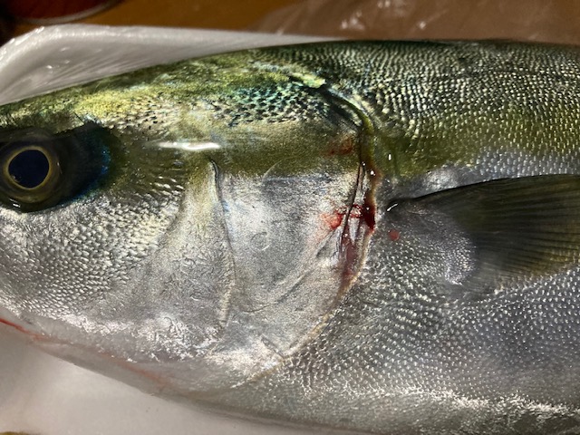 ツバス